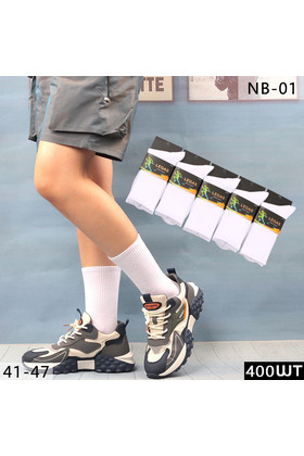 Мужские носки NB-01 упаковка 10шт белые