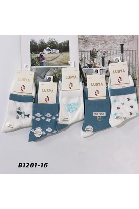 Женские носки упаковка 10 пар В1201-16