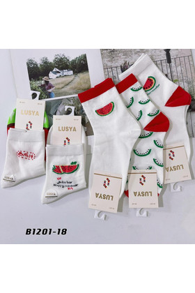 Женские носки упаковка 10 пар В1201-18