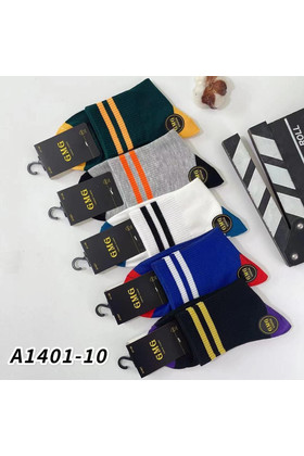 Мужские носки упаковка 10 пар А1401-10